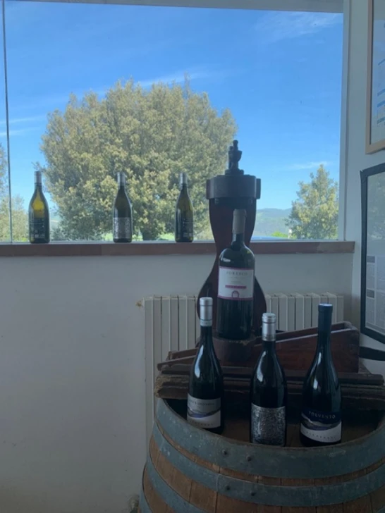 Bottiglie di vino di fronte a finestra aperta sul verde