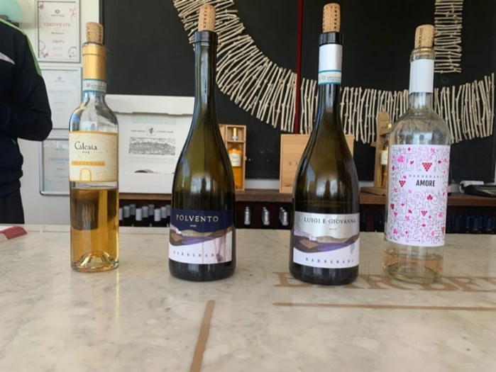Vini Barberani Cantina (TR)
