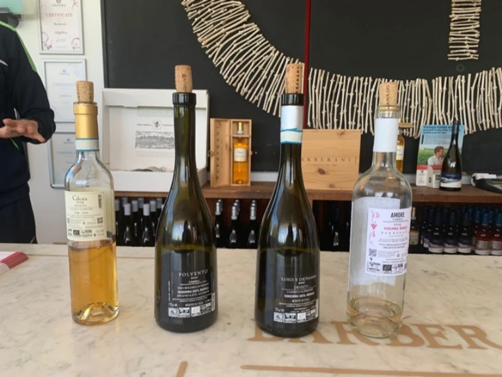 Vini Barberani Cantina (TR)