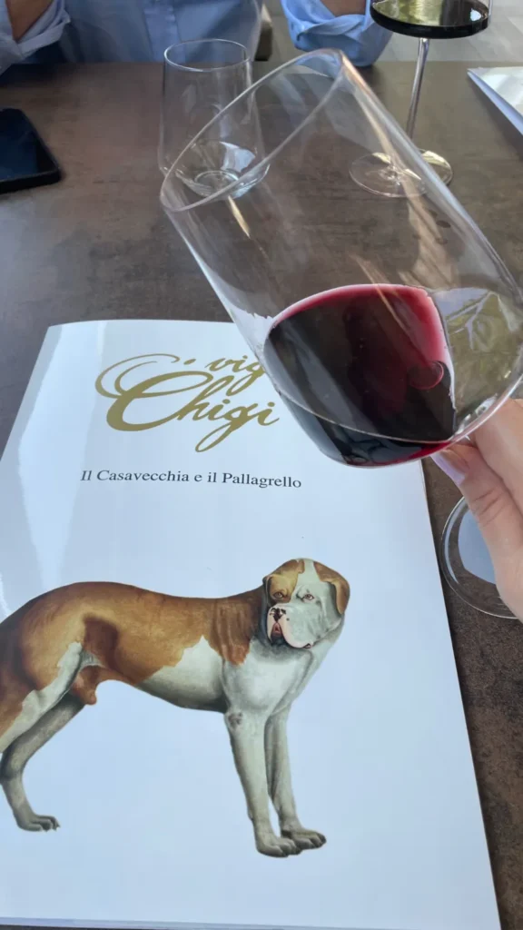 Bicchiere di vino rosso - Vigne Chigi