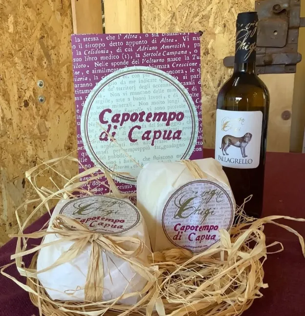 Capotempo di Capua - Vigne Chigi
