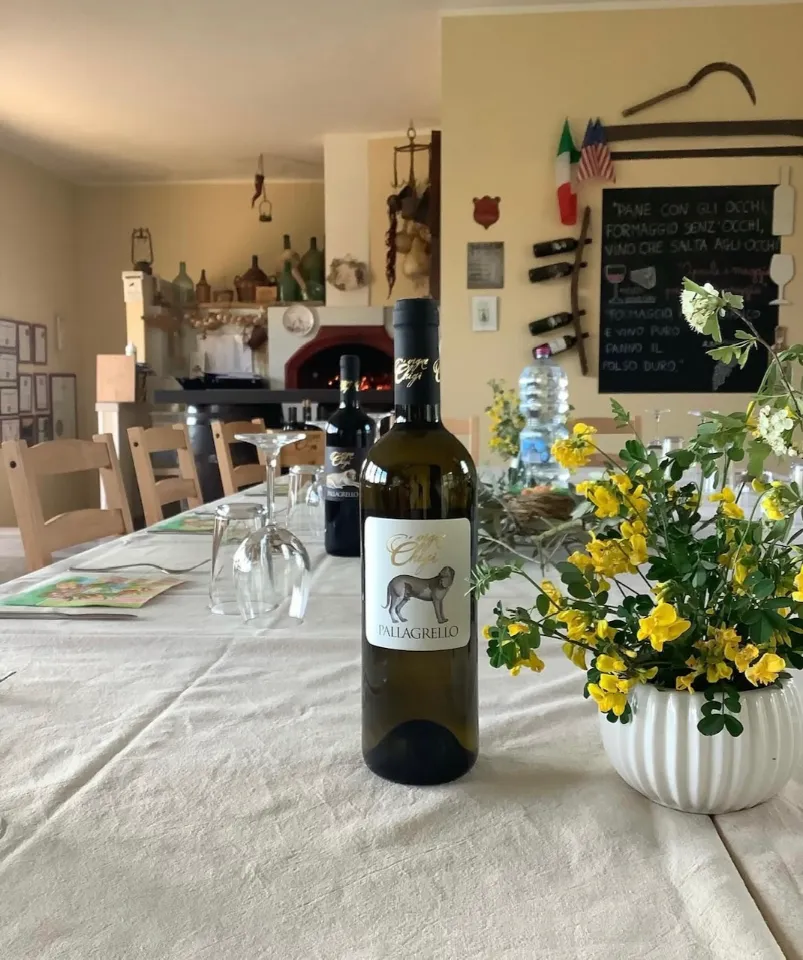 Bottiglia di Pallagrello su tavola imbandita - Vigne Chigi