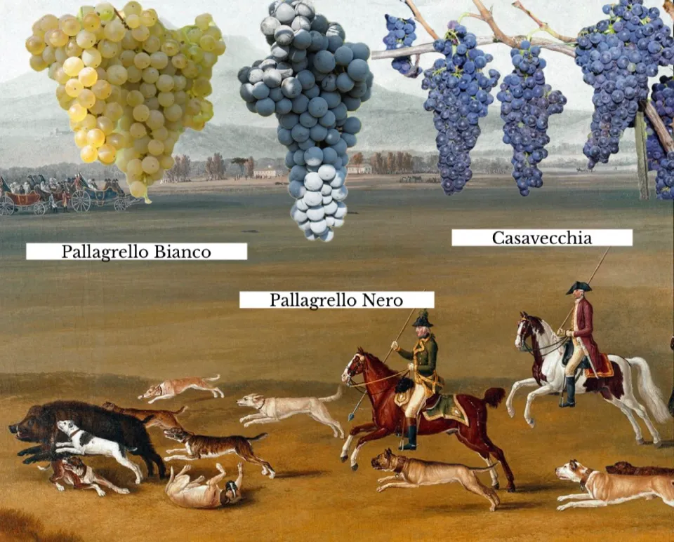 Vitigni - Vigne Chigi