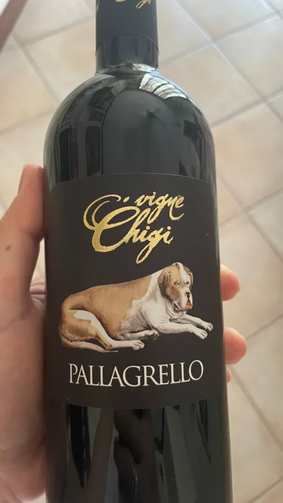 Bottiglia Pallagrello - Vigne Chigi