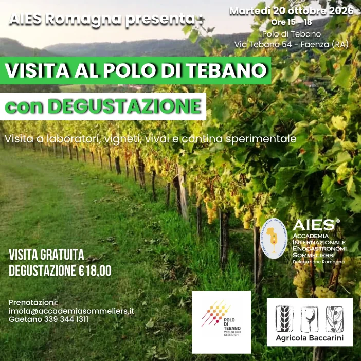 Locandina Visita Polo di Tebano - AIES Romagna